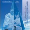 (eBook PDF) Principles of Auditing Other Assurance Services 19th