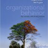 (eBook PDF) Organizational Behavior: Key Concepts, Skills & Best Practices 5th