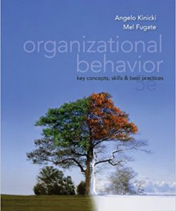 (eBook PDF) Organizational Behavior: Key Concepts, Skills & Best Practices 5th