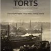 (eBook PDF) Torts: Commentary and Materials 13th edition