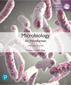 (eBook PDF) Microbiology: An Introduction, Global Edition 13th Edition