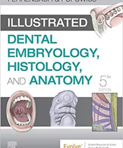(eBook PDF) Illustrated Dental Embryology, Histology, and Anatomy 5th Edition