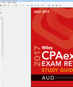 (eBook PDF) Wiley CPAexcel Exam Review July 2017 Study Guide Auditing