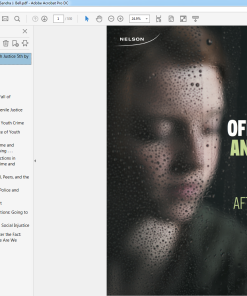 (eBook PDF) Young Offenders and Youth Justice 5th Canadian Edition by Sandra J. Bell