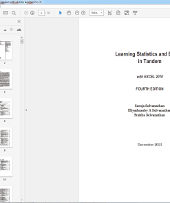 (Original PDF) PP0952 - Learning Statistics and EXCEL in Tandem
