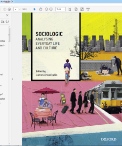 (Original PDF) Sociologic: Analysing Everyday Life and Culture