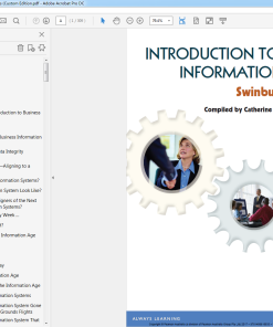 (Original PDF) Introduction to Business Information Systems (Custom Edition)