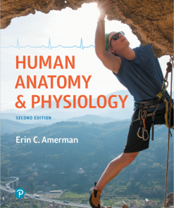 (eBook PDF) Human Anatomy & Physiology 2nd Edition by Erin C. Amerman