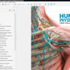 (Original PDF) Human Physiology: From Cells to Systems 4th Canadian Edition