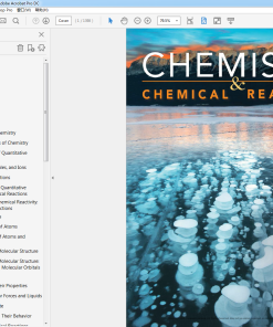 (Original PDF) Chemistry & Chemical Reactivity 10th Edition