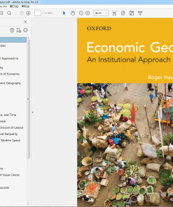 (Original PDF) Economic Geography 2nd Edition by Roger Hayter