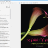 (Original PDF) Sexuality Now by Janell Carroll