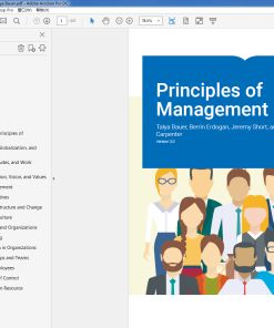 (Original PDF) Principles of Management 3rd edition by Talya Bauer