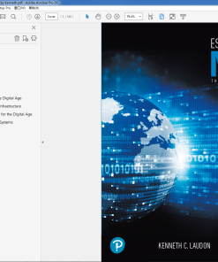 (Original PDF) Essentials of MIS 13th Edition by Kenneth