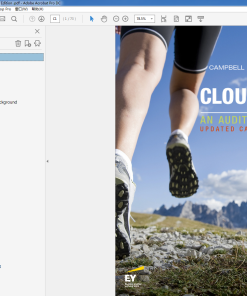 (Original PDF) Cloud 9 Ltd II An Audit Case Study, Canadian Edition