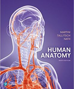(Original PDF) Human Anatomy 9th Edition by Frederic H. Martini