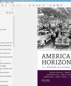(Original PDF) American Horizons U.S. History in a Global Context, Volume II Since 1865 2nd Edition