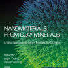 Nanomaterials from Clay Minerals: A New Approach to Green Functional Materials (Micro and Nano Technologies) 1st Edition - eBook PDF