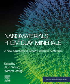 Nanomaterials from Clay Minerals: A New Approach to Green Functional Materials (Micro and Nano Technologies) 1st Edition - eBook PDF