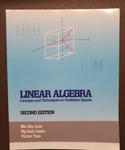 Linear Algebra: Concepts and Techniques on Euclidean Spaces 2nd Edition - eBook PDF