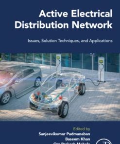 Active Electrical Distribution Network: Issues, Solution Techniques, and Applications 1st Edition - eBook PDF
