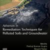 Advances in Remediation Techniques for Polluted Soils and Groundwater 1st Edition - eBook PDF