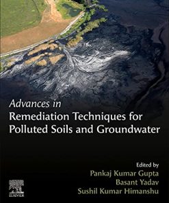 Advances in Remediation Techniques for Polluted Soils and Groundwater 1st Edition - eBook PDF