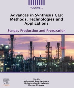 Advances in Synthesis Gas: Methods, Technologies and Applications, Volume 1: Syngas Production and Preparation 1st Edition - eBook PDF