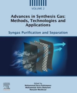 Advances in Synthesis Gas: Methods, Technologies and Applications, Volume 2: Syngas Purification and Separation 1st Edition- eBook PDF