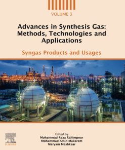 Advances in Synthesis Gas: Methods, Technologies and Applications: Syngas Products and Usages 1st Edition VOLUME 3 - eBook PDF