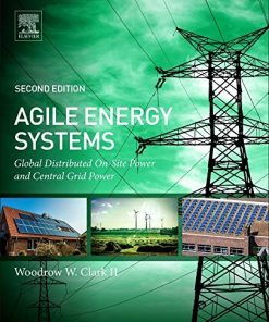 Agile Energy Systems: Global Distributed On-Site and Central Grid Power 2nd Edition Woodrow W. Clark Iii - eBook PDF