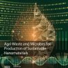 Agri-Waste and Microbes for Production of Sustainable Nanomaterials 1st edition - eBook PDF