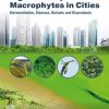 Algae and Aquatic Macrophytes in Cities: Bioremediation, Biomass, Biofuels and Bioproducts 1st Edition - eBook PDF