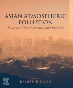 Asian Atmospheric Pollution: Sources, Characteristics and Impacts 1st edition - eBook PDF