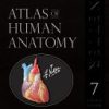 Atlas of Human Anatomy 7th Edition Frank H. Netter - eBook PDF