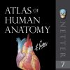 Atlas of Human Anatomy, 7e (Netter Basic Science) - "mebooksfree.com" watermark on every page - eBook PDF