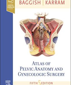 Atlas of Pelvic Anatomy and Gynecologic Surgery 5th Edition Baggish Md  Facog - eBook PDF
