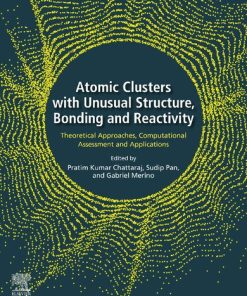 Atomic Clusters with Unusual Structure, Bonding and Reactivity: Theoretical Approaches, Computational Assessment and Applications - eBook PDF