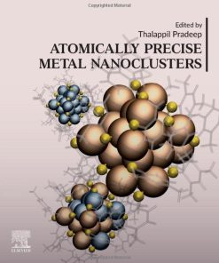Atomically Precise Metal Nanoclusters 1st Edition - eBook PDF