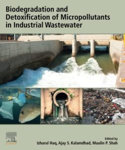 Biodegradation and Detoxification of Micropollutants in Industrial Wastewater 1st Edition - eBook PDF