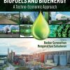 Biofuels and Bioenergy: A Techno-Economic Approach 1st Edition - eBook PDF