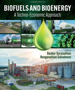 Biofuels and Bioenergy: A Techno-Economic Approach 1st Edition - eBook PDF