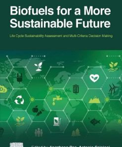 Biofuels for a More Sustainable Future: Life Cycle Sustainability Assessment and Multi-Criteria Decision Making 1st Edition Jingzheng Ren (Editor) - eBook PDF