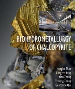 Biohydrometallurgy of Chalcopyrite 1st Edition Zhao - eBook PDF