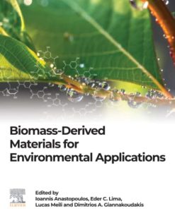 Biomass-Derived Materials for Environmental Applications 1st Edition - eBook PDF