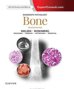 Bone 2nd Edition G. Petur Nielsen - eBook PDF