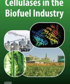Cellulases in the Biofuel Industry - eBook PDF