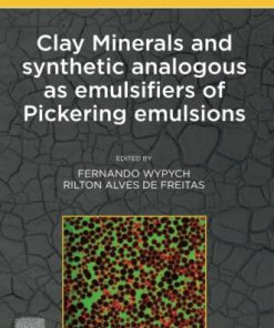 Clay Minerals and Synthetic Analogous as Emulsifiers of Pickering Emulsions 1st edition - eBook PDF