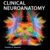 Clinical Neuroanatomy 28th Edition Stephen G. Waxman - eBook PDF