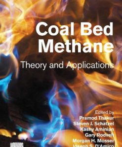 Coal Bed Methane: Theory and Applications 2nd Edition- eBook PDF